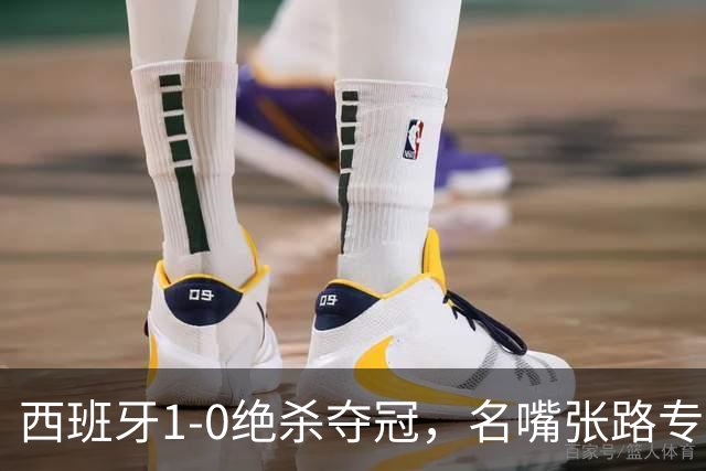 西班牙1-0绝杀夺冠，名嘴张路专业解读赢球真正原因，一针见血切中要害